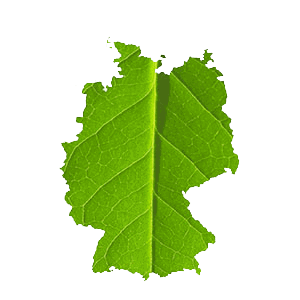 INDIVIDUELLE ARCHITEKTUR - WEISS Holzhaus INDIVIDUELLE ARCHITEKTUR - WEISS Holzhaus